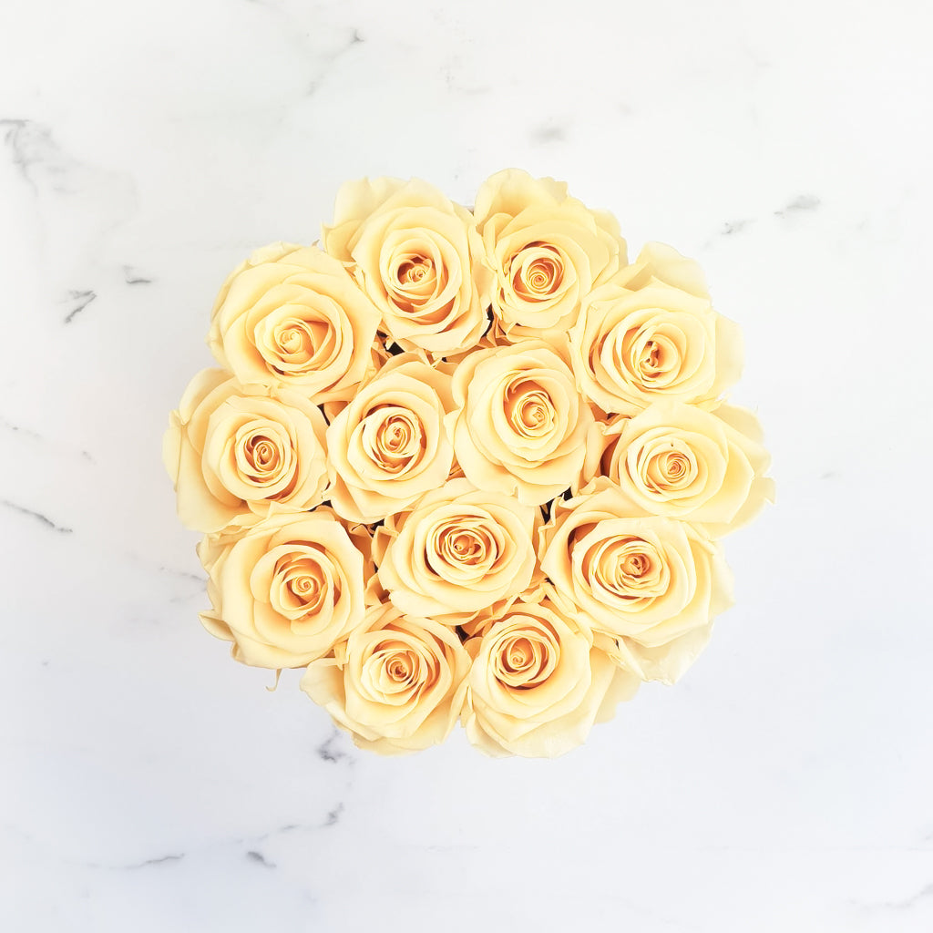 yellow rose, rose box, rose box sydney, flower box, flower box sydney, everlasting roses, long lasting roses, preserved roses, preserved flowers, rose delivery sydney, infinity roses