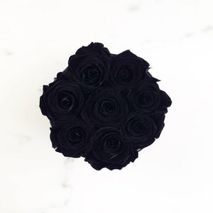 black rose, long lasting roses, infinity roses, everlasting roses, preserved roses, preserved flowers, rose delivery sydney, rose box sydney, flower box sydney, preserved roses sydney