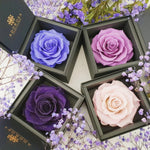 rose box sydney, flower box sydney, long lasting rose, preserved rose, preserved flower, birthday rose, purple rose, diamond rose, wedding gift
