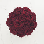 red roses, preserved flowers sydney, preserved roses sydney, forever roses, long lasting roses, luxury roses, infinity roses, rose box sydney 