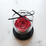 glass dome rose, luxury rose sydney, long lasting rose sydney, everlasting roses, preserved roses, valentine's day, rose box, enchanted rose