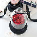 glass dome rose, luxury rose sydney, long lasting rose sydney, everlasting roses, preserved roses, valentine's day, rose box, enchanted rose