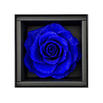 blue rose, flower box, rose delivery sydney, rose box sydney, preserved rose sydney, preserved flower sydney, birthday gift sydney